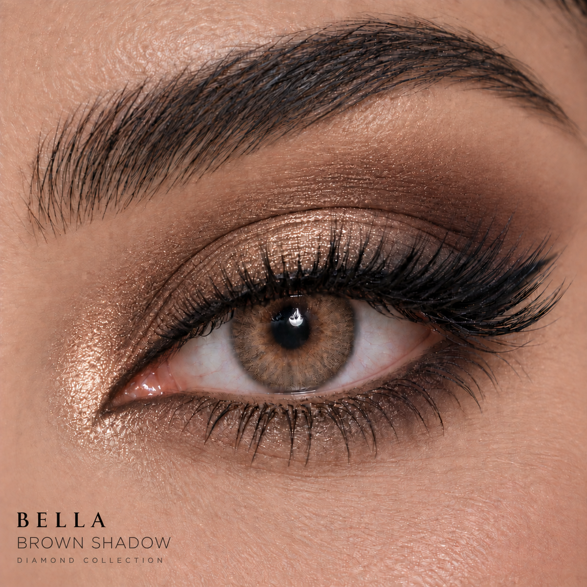 Bella Brown Shadow - Diamond Collection