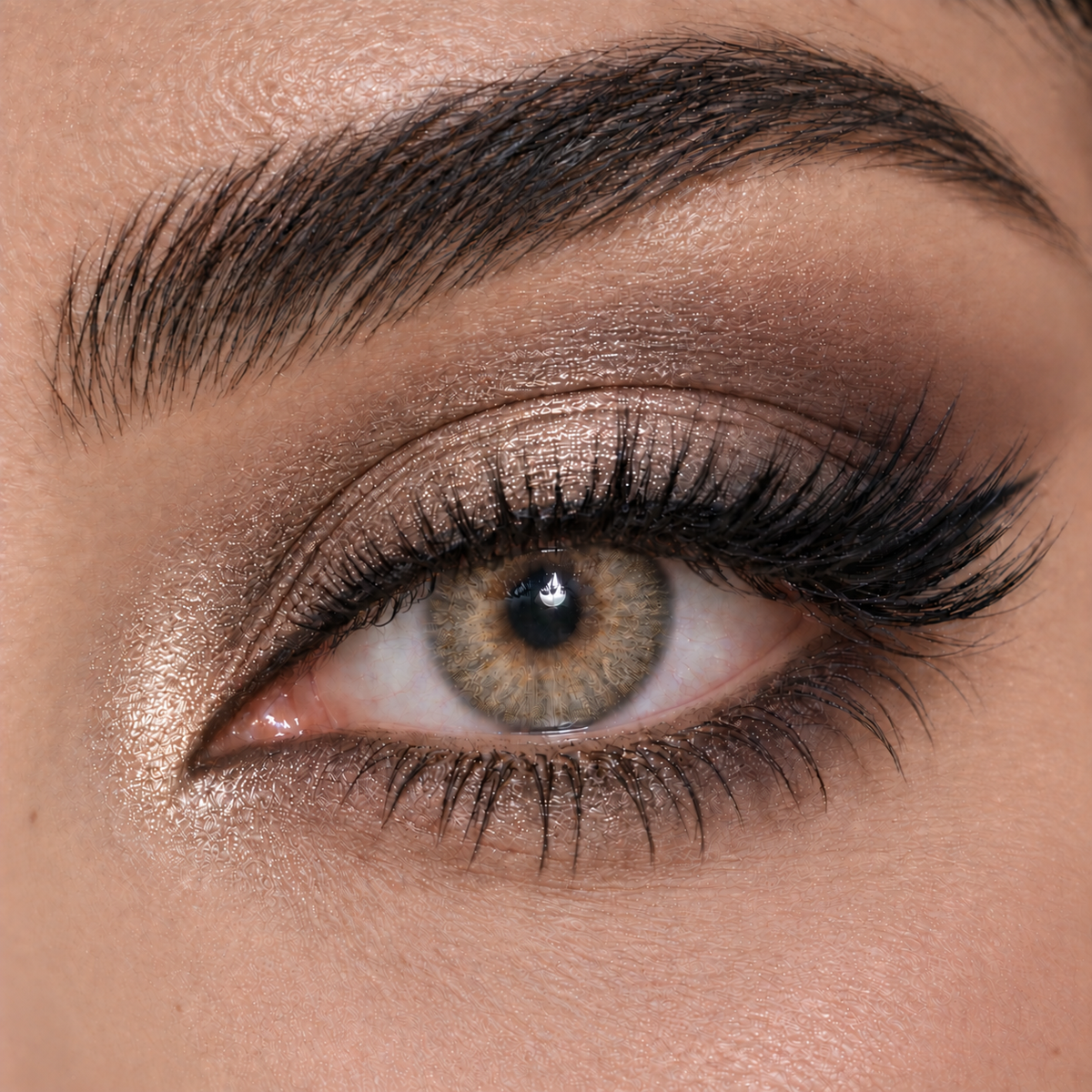 Bella Cool Hazel - Highlight Collection