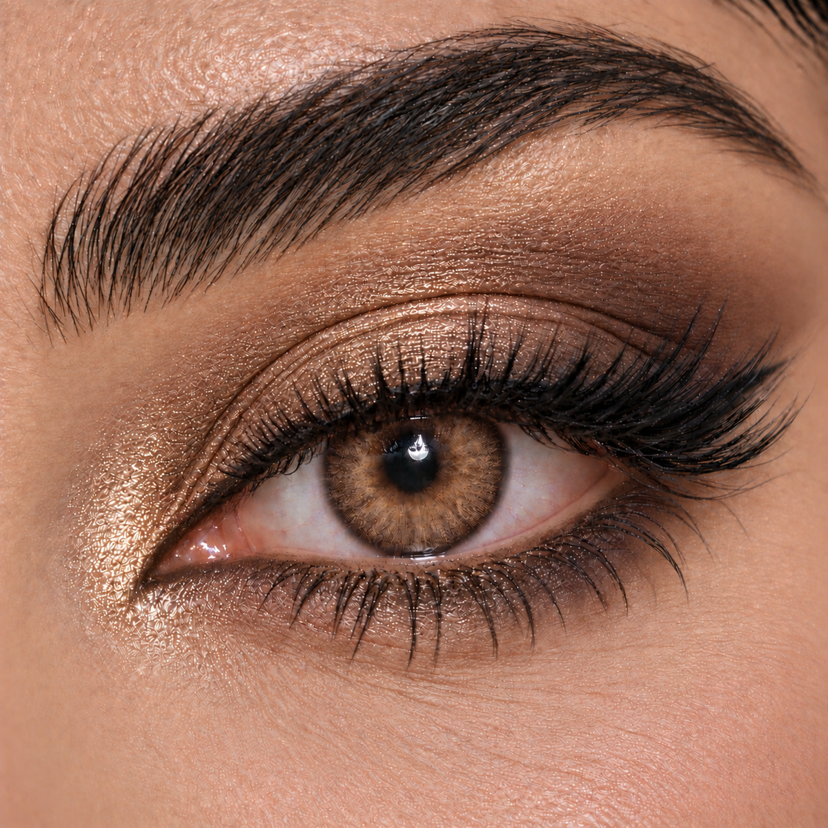 Bella Circle Brown - Highlight Collection