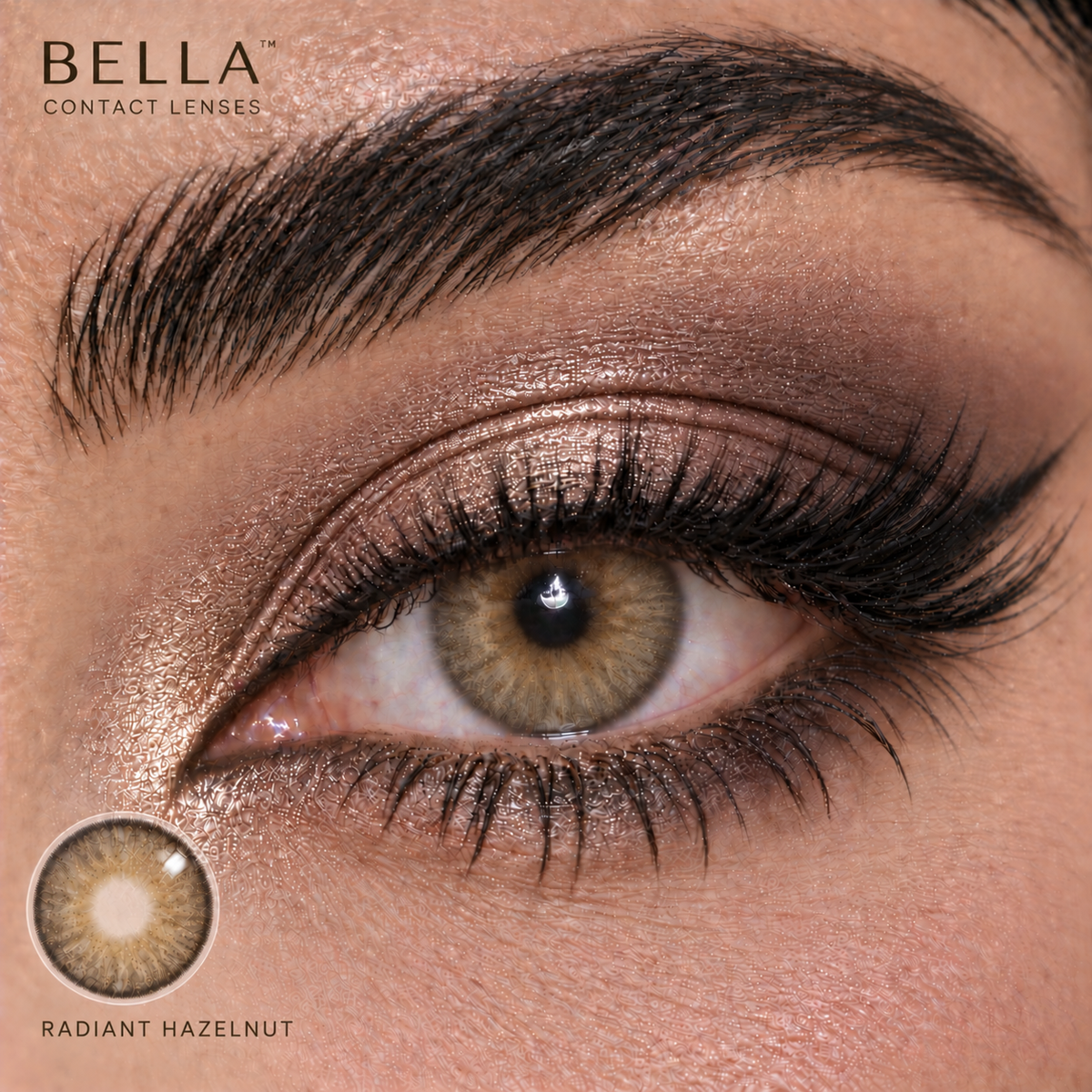 Bella Radiant Hazelnut - One Day Collection