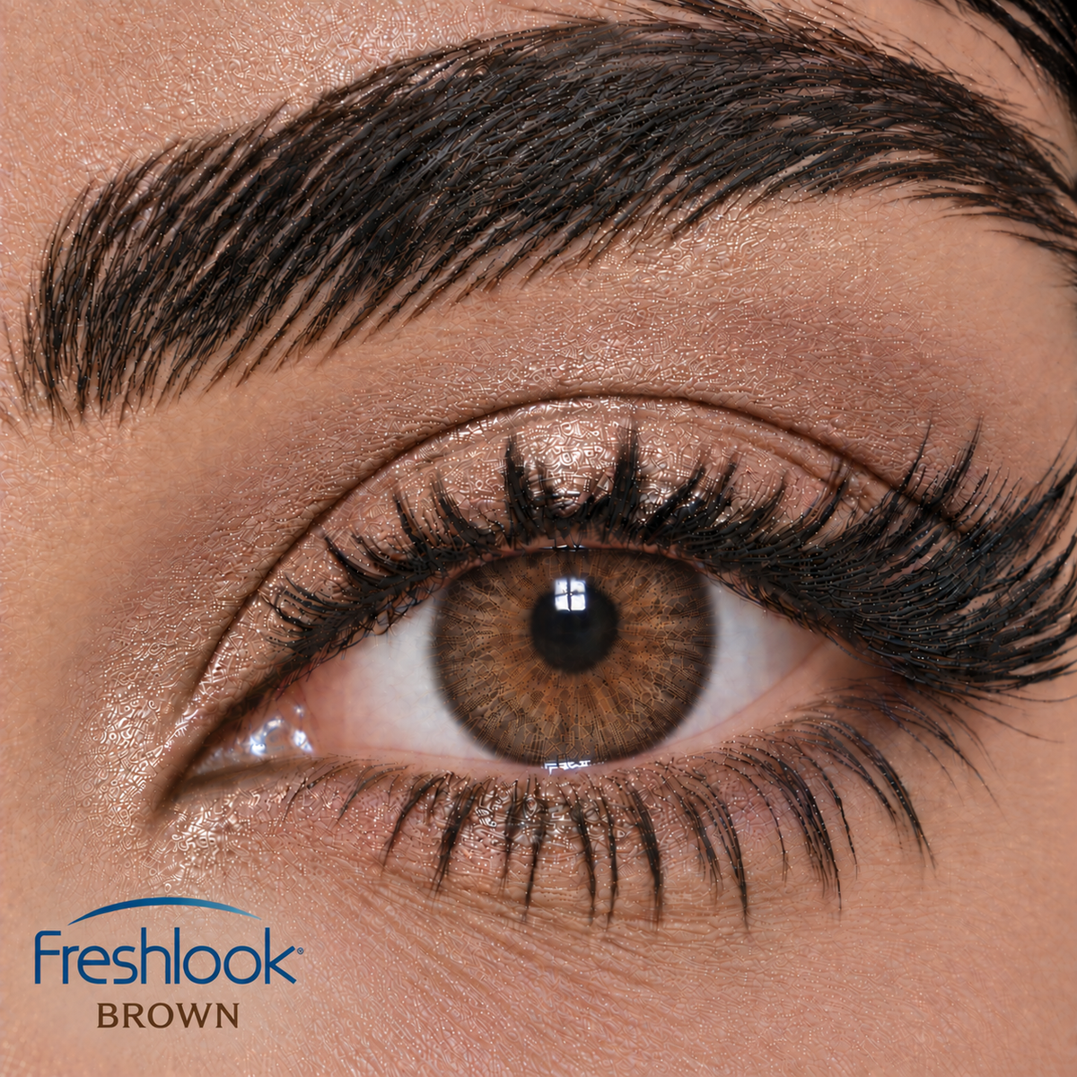 Freshlook Brown - Colorblends Collection