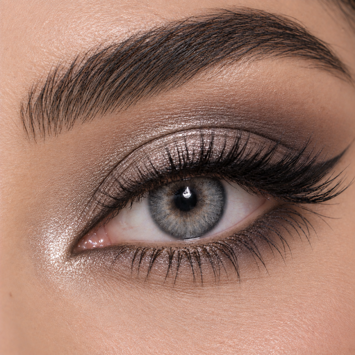 Bella Cool Grey - Highlight Collection