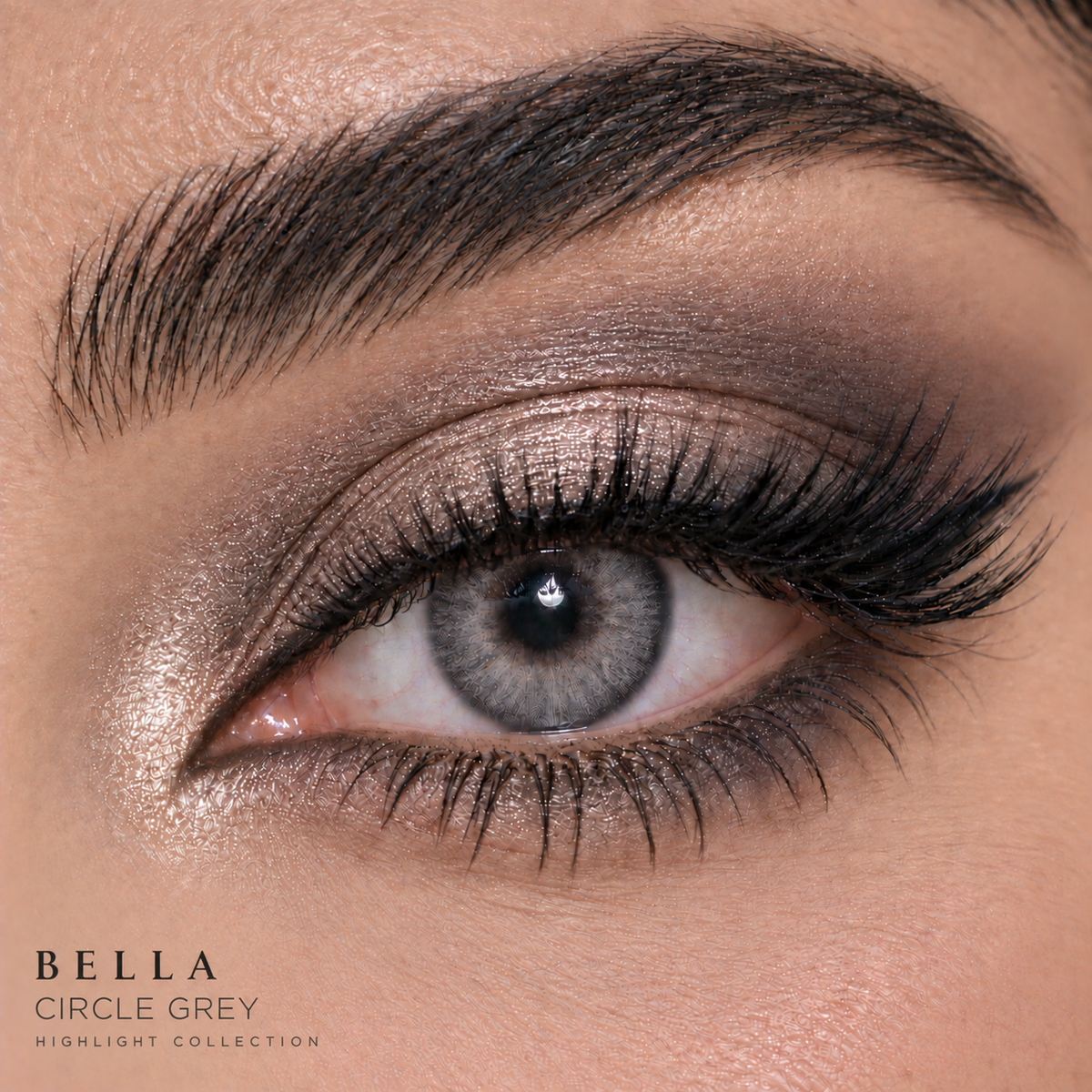 Bella Circle Grey - Highlight Collection