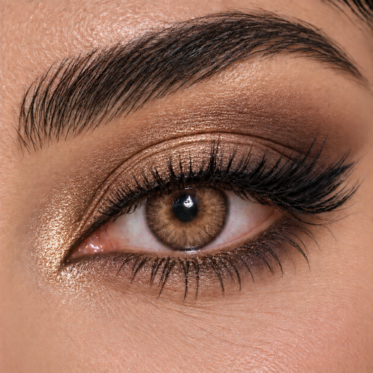 Bella Circle Brown - Highlight Collection