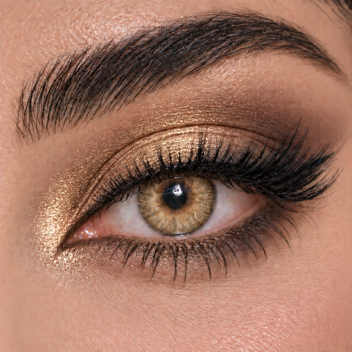 Bella Highlight Gold - Highlight Collection