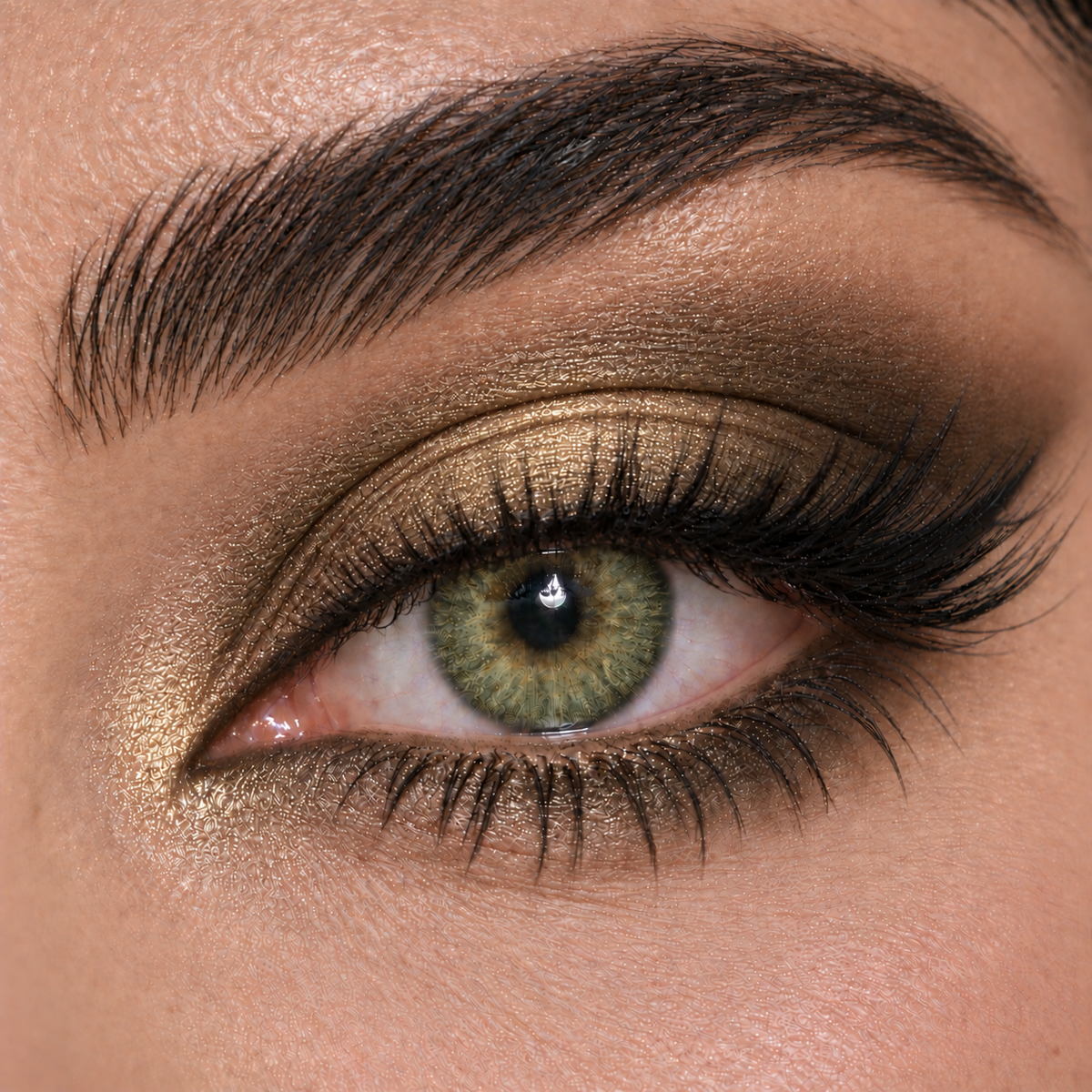 Bella Gray Green - Elite Collection