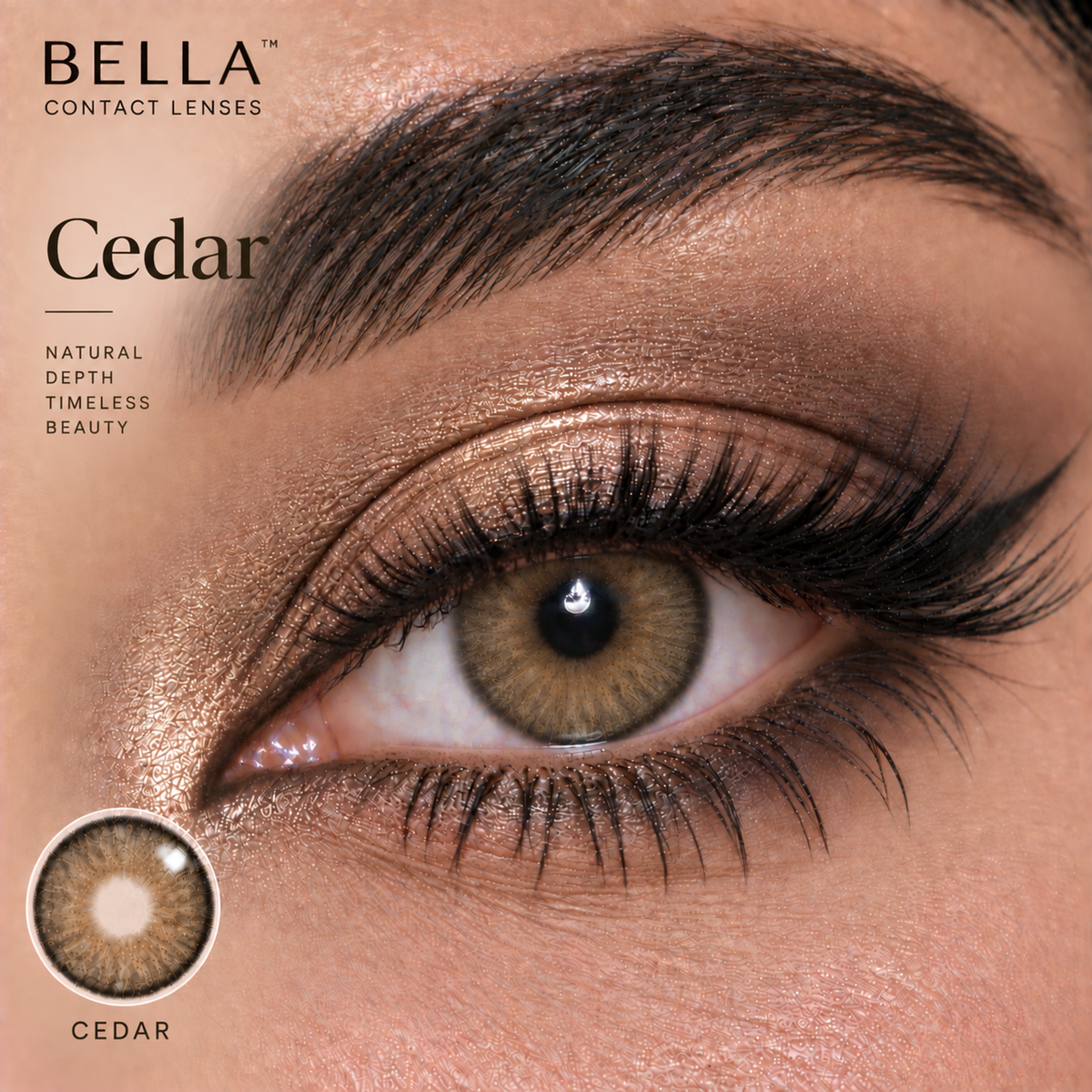 Bella Cedar - One Day Collection
