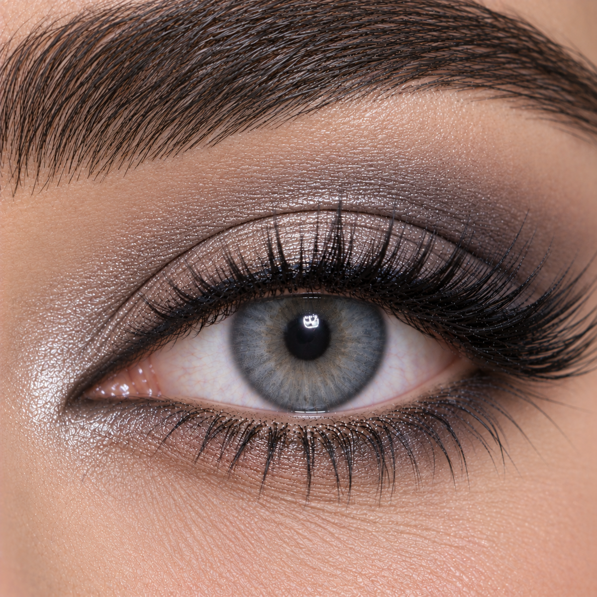 Bella Bluish Grey - One Day Collection